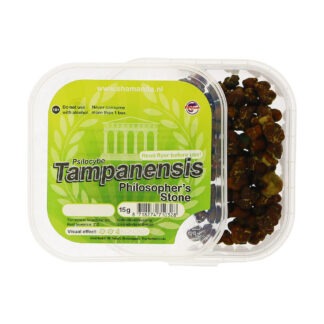 tampanensis-truffel-15-gram