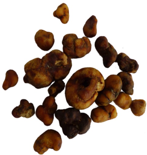 beste goedkoopste microdose truffel