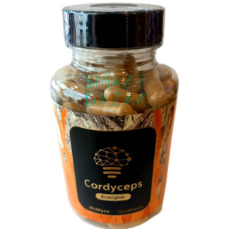 Cordyceps capsules