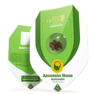 Amnesia Haze Autoflower