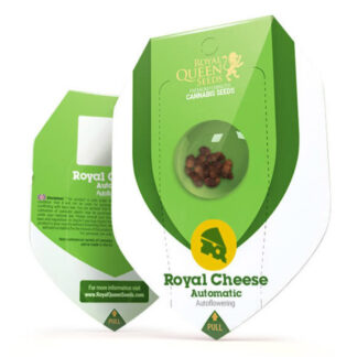 Royal Cheese Autoflower