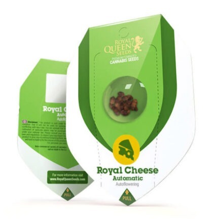 Royal Cheese Autofloreciente