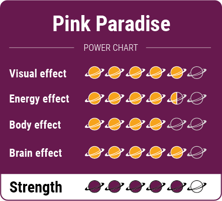 Pink-Paradise-tartuffle-Charts