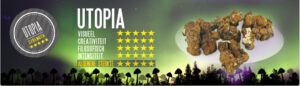 utopia-truffle-info