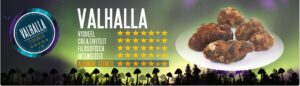 valhalla-truffel-info
