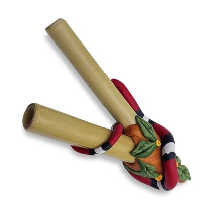 coral_snake_kuripe