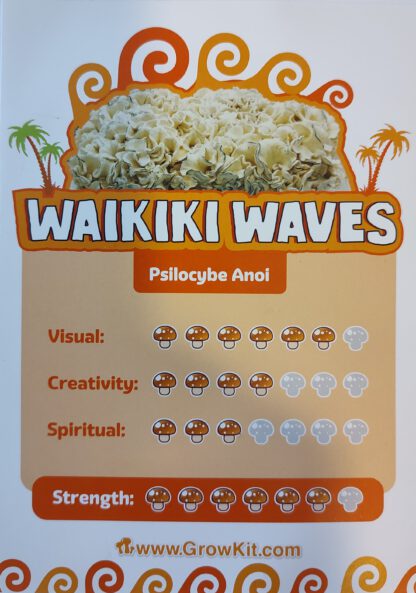 Waikiki Waves Growkit - 1200cc - Afbeelding 2