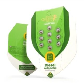 diesel autoflower seeds