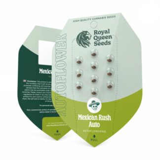 mexican rush autoflower seeds