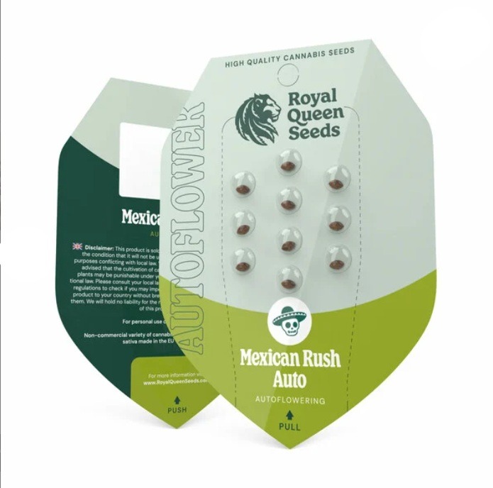 mexican rush autoflower seeds