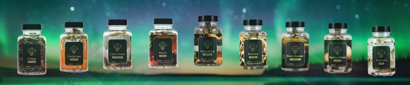 paddenstoelen supplementen